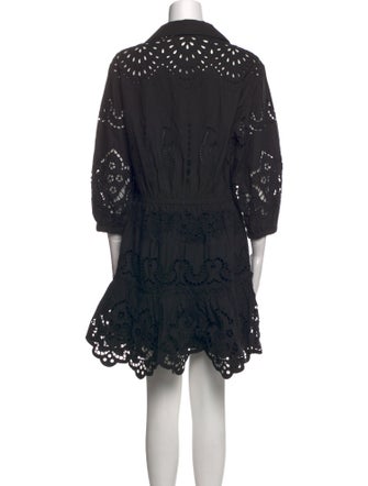 Cara Cara Lace Pattern Mini Dress