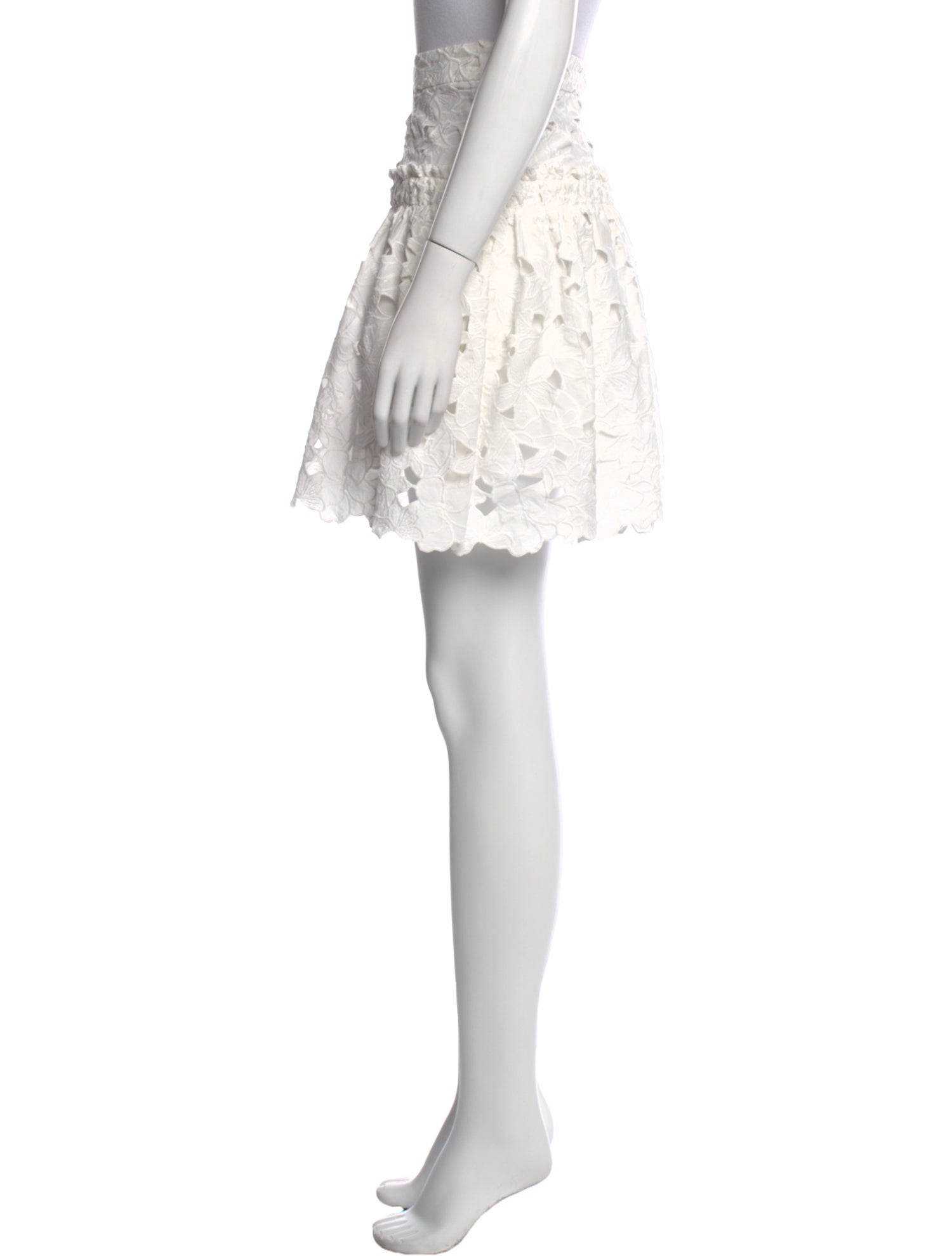 Cara Cara Ruffle Embellishment Mini Skirt