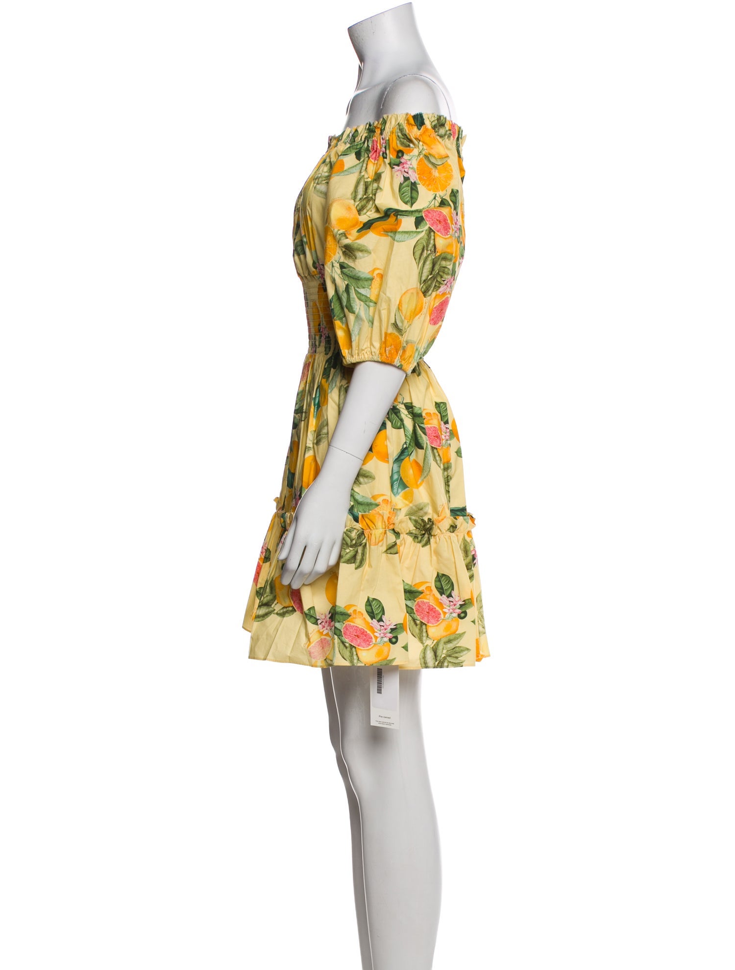 Cara Cara Floral Print Mini Dress w/ Tags