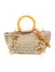 Carolina Santo Domingo Raffia Shoulder Bag