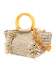 Carolina Santo Domingo Raffia Shoulder Bag