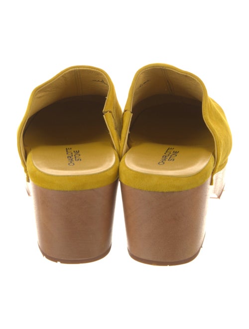 Charlotte Stone Suede Mules