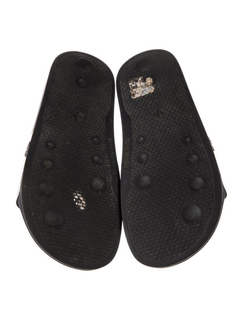 Carmen Sol Rubber Printed Slides