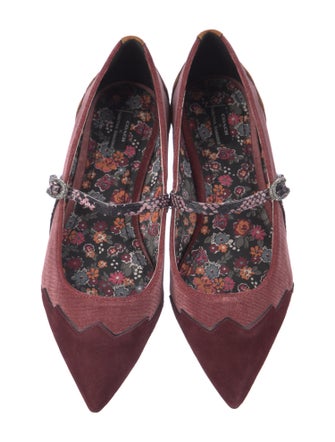 Coach x Tabitha Simmons Suede Animal Print Mary Jane Flats