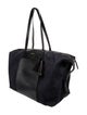 Cuyana Canvas Top Handle Bag