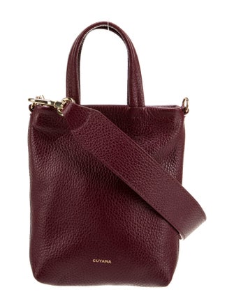 Cuyana Leather Top Handle Bag