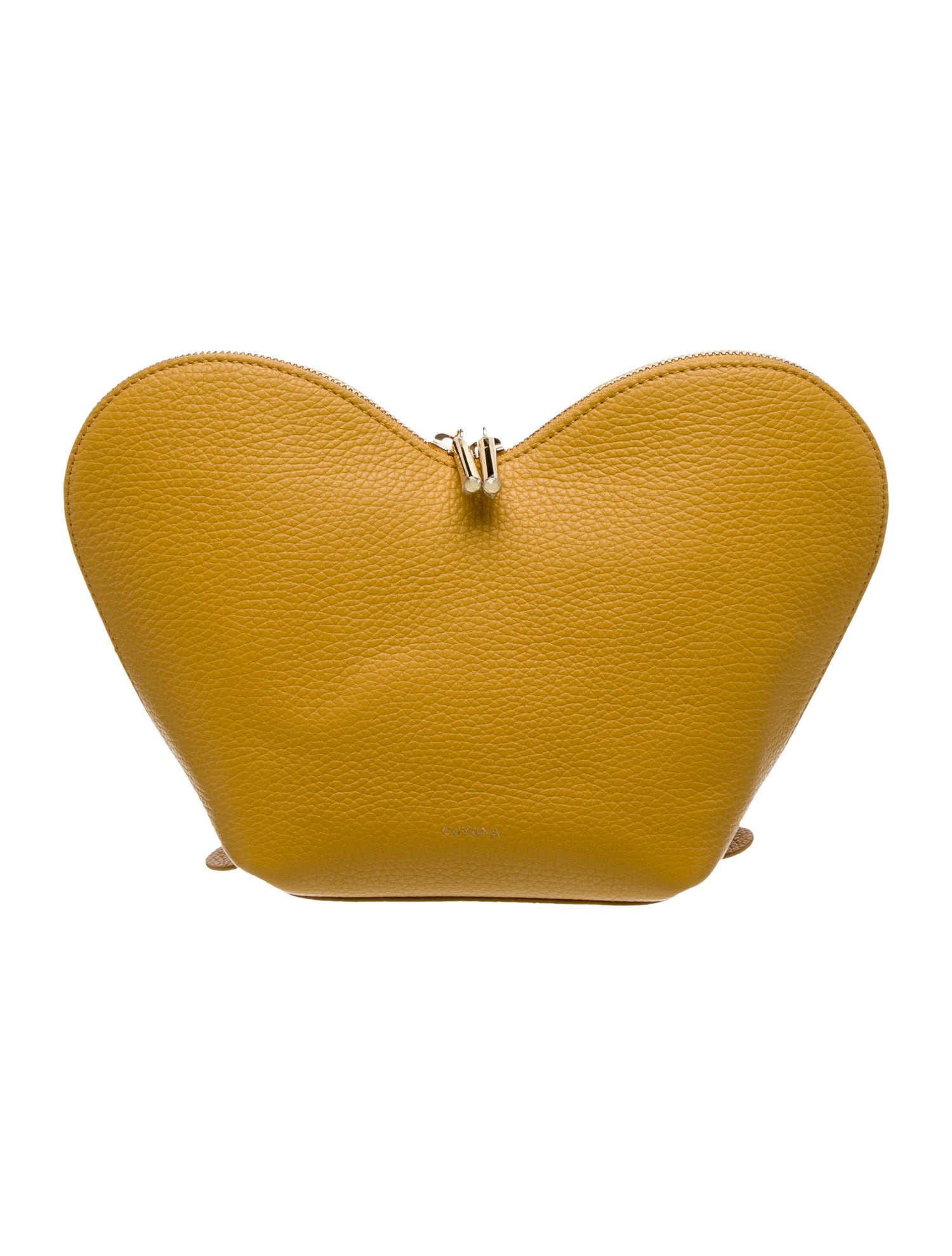 Cuyana Leather Minaudière