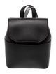 Cuyana Leather Backpack