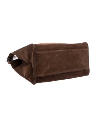 Cuyana Suede Shoulder Bag