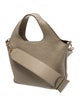 Cuyana Leather Hobo