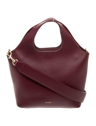 Cuyana Leather Top Handle Bag