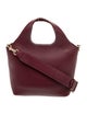 Cuyana Leather Top Handle Bag