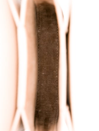 Cuyana Leather Crossbody Bag