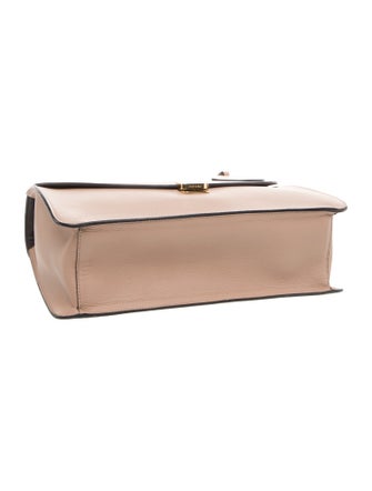Cuyana Leather Top Handle Bag
