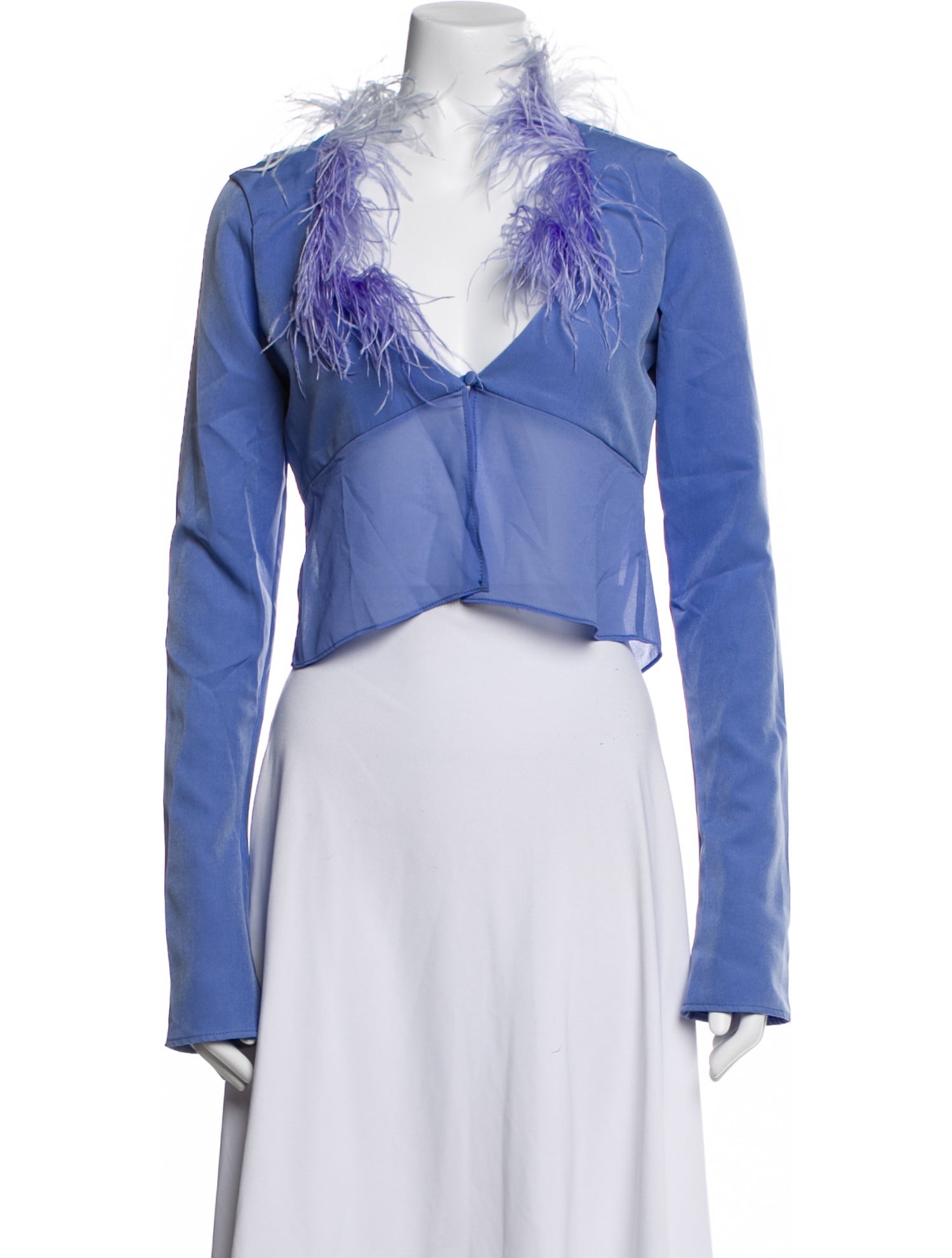 Danielle Guizio V-Neck Long Sleeve Crop Top