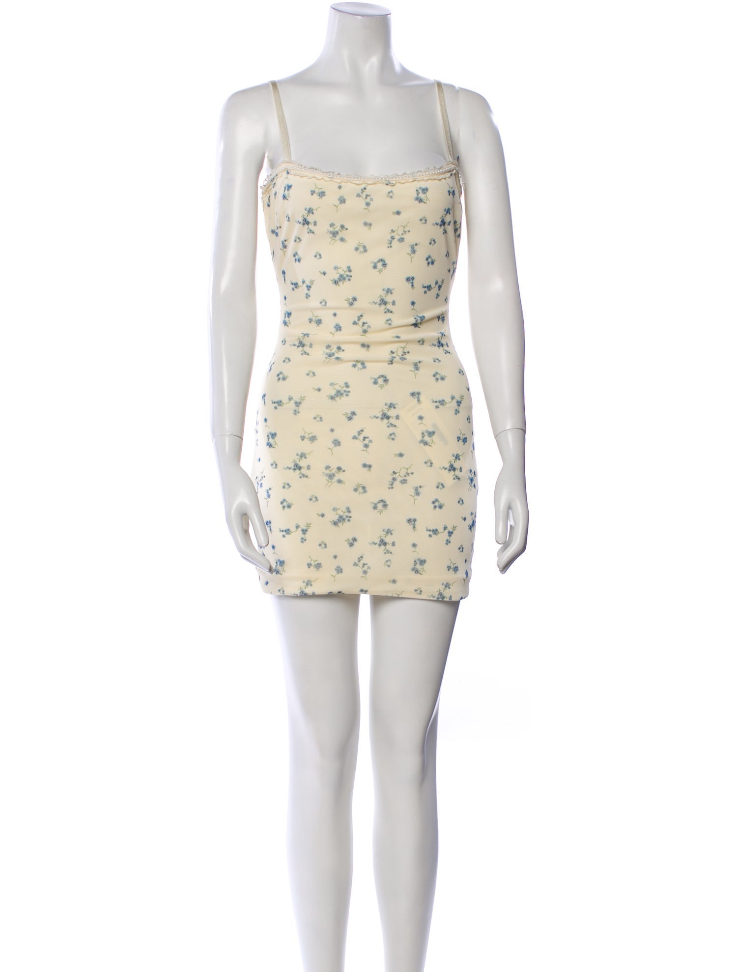 Danielle Guizio Floral Print Mini Dress