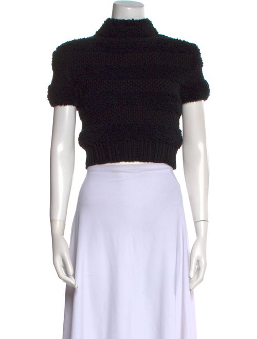 Danielle Guizio Turtleneck Sweater