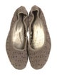 Gerard Darel Suede Ballet Flats