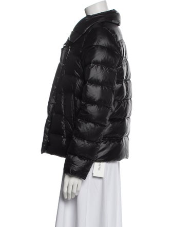Dawn Levy Down Jacket