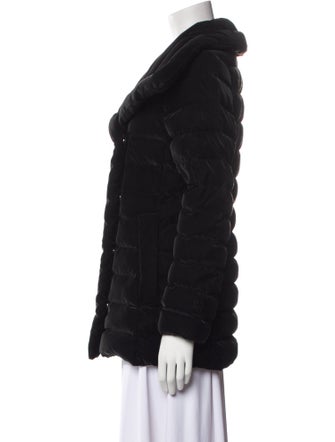 Dawn Levy Down Jacket