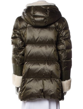 Dawn Levy Down Coat