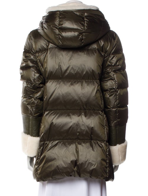 Dawn Levy Down Coat