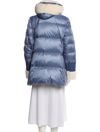 Dawn Levy Down Jacket