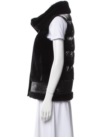 Dawn Levy Leather Down Jacket