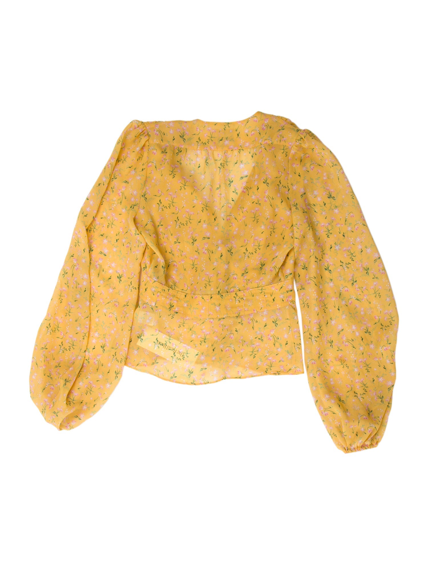 Divine Heritage V-Neck Long Sleeve Crop Top