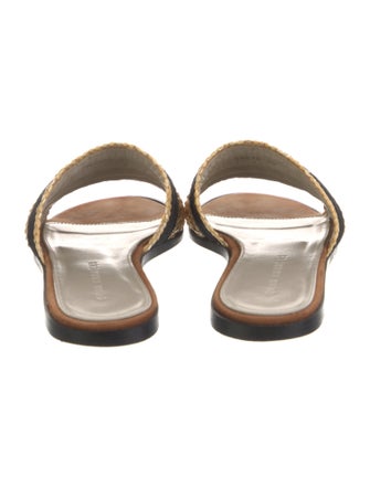 Dear Frances Straw Slides