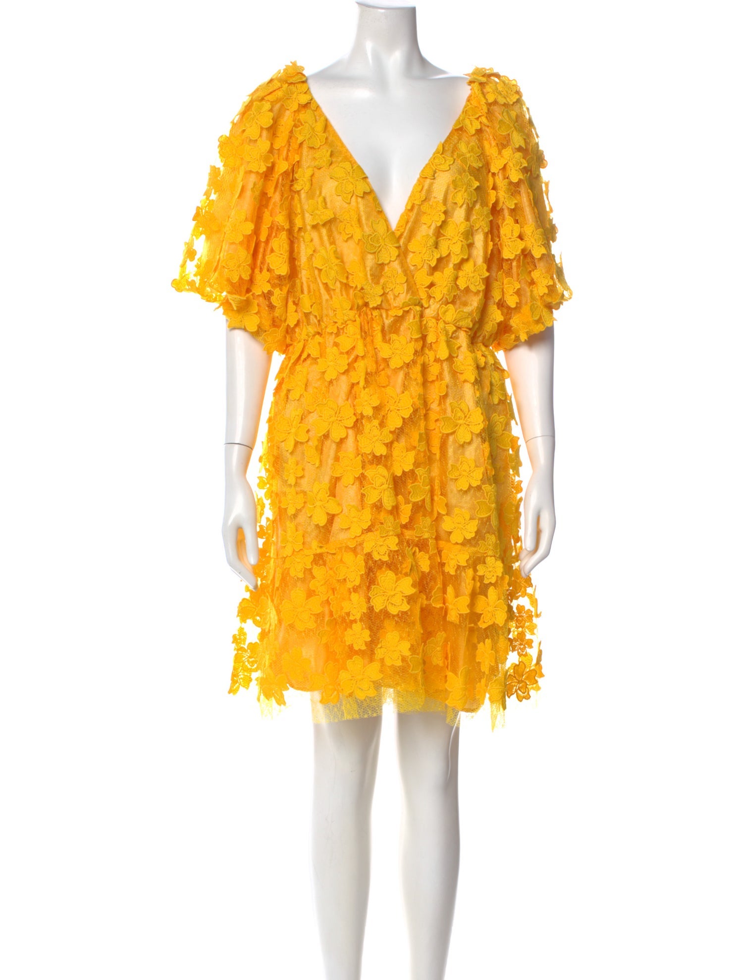 Delfi Collective Lace Pattern Mini Dress