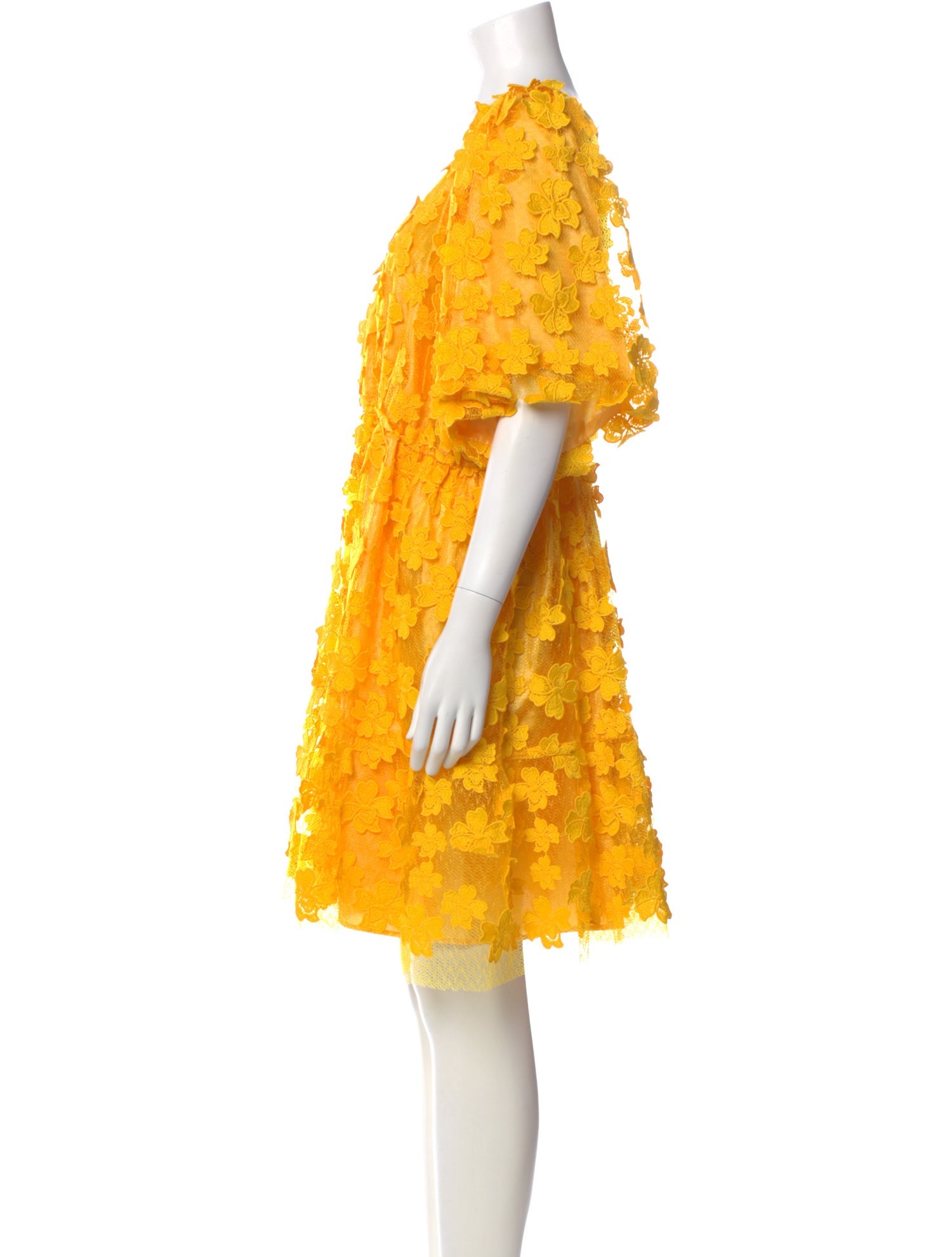 Delfi Collective Lace Pattern Mini Dress