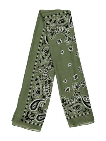 Pre-owned Destin Paisley Print Scarf In Green