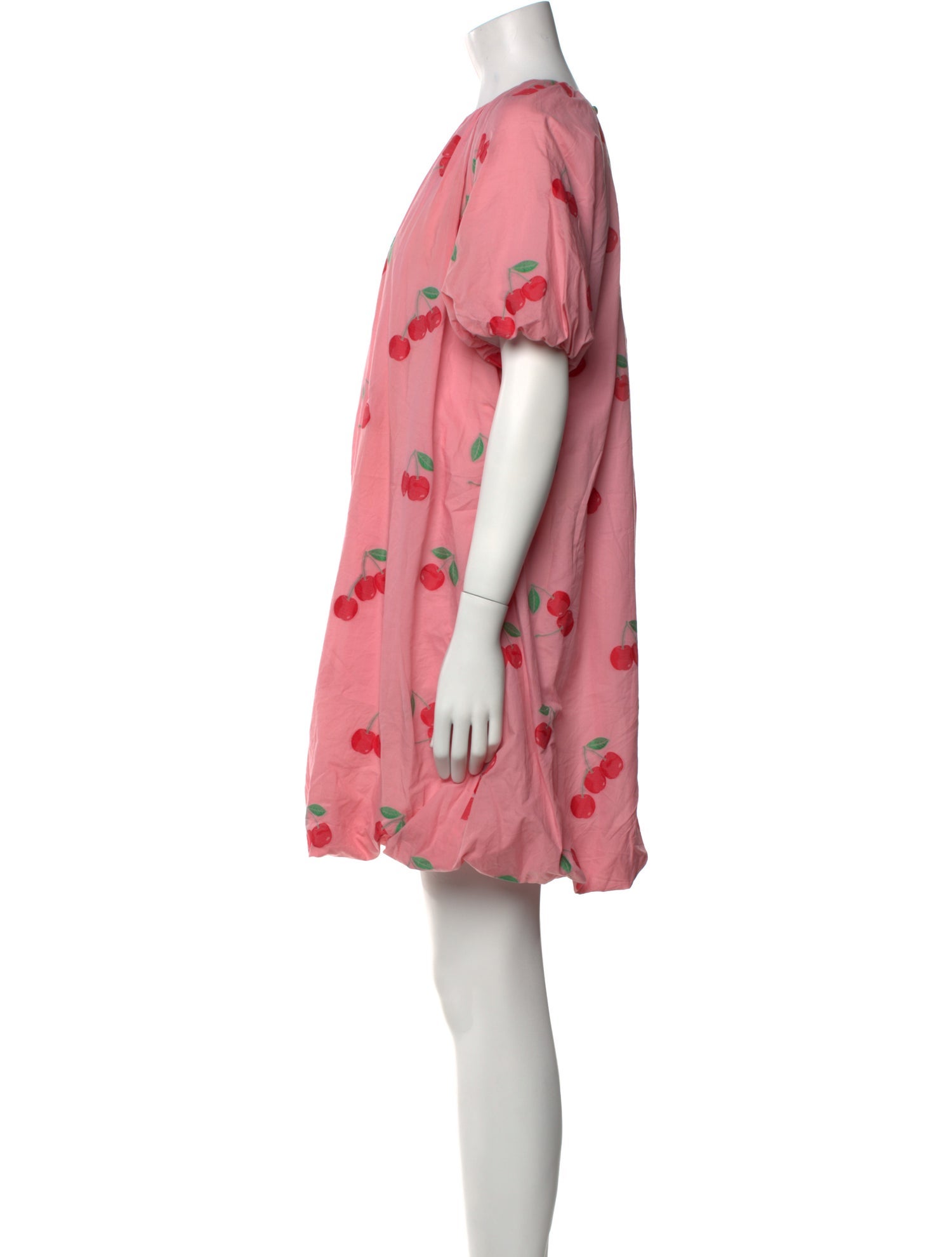 Danielle Fichera Printed Mini Dress