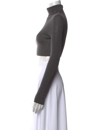 Dissh Turtleneck Long Sleeve Crop Top