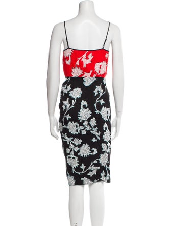 Diane von Furstenberg Floral Print Knee-Length Dress
