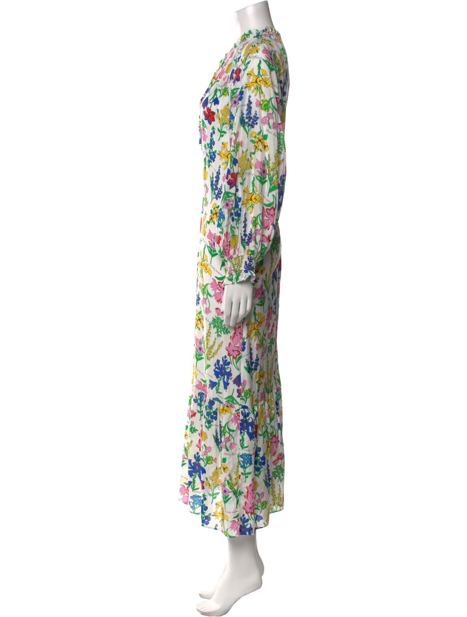 Diane von Furstenberg Floral Print Long Dress