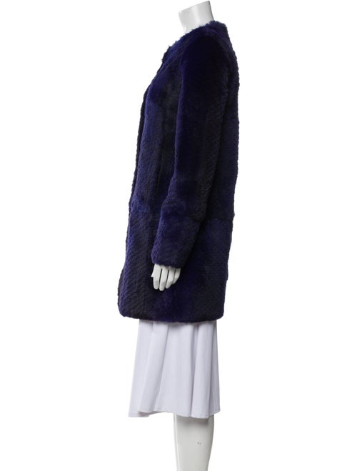 Diane von Furstenberg Fur Coat