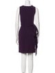 Diane von Furstenberg V-Neck Mini Dress