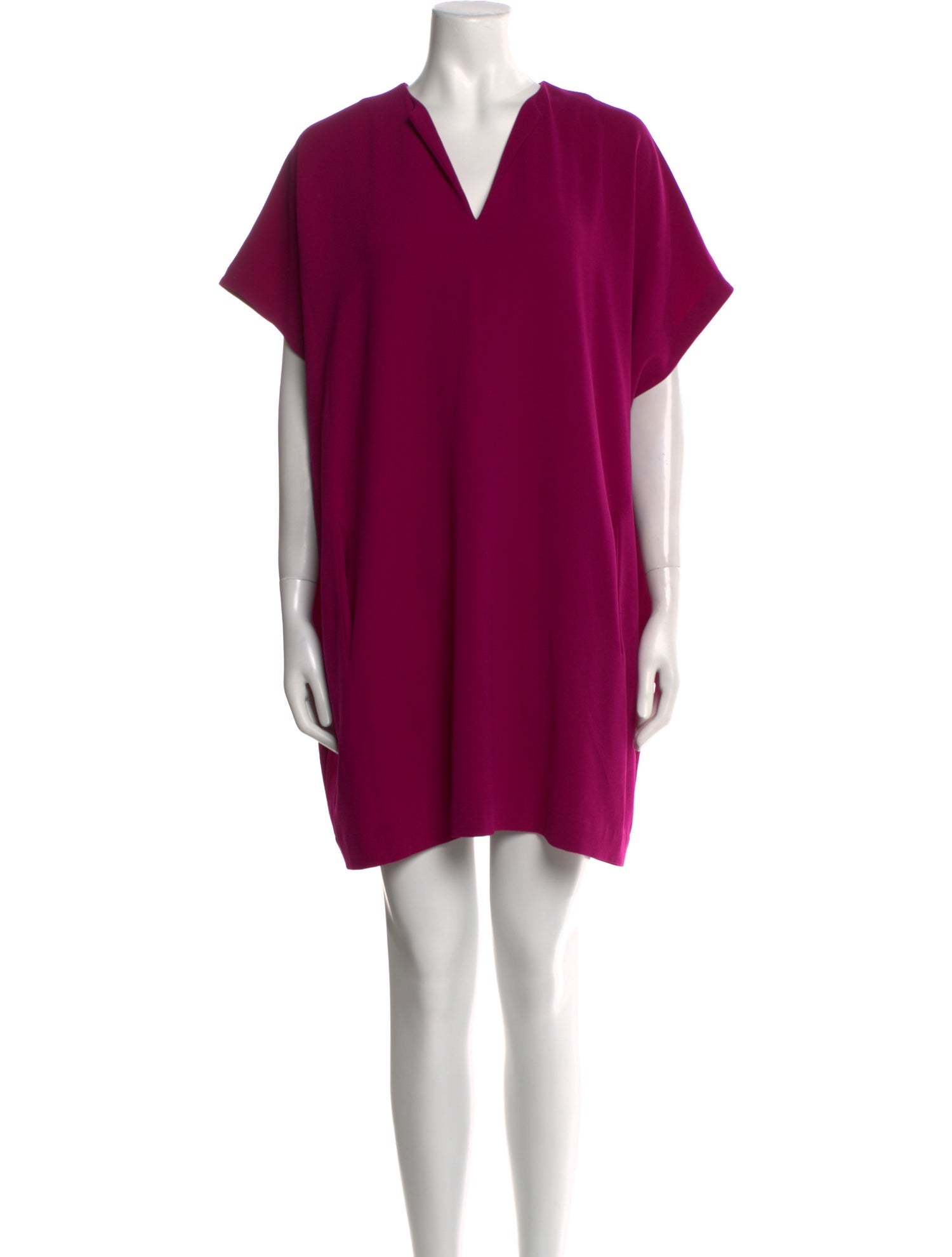 Diane von Furstenberg V-Neck Mini Dress