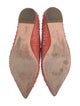 Diane von Furstenberg Leather Ballet Flats
