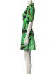 Diane von Furstenberg Printed Mini Dress