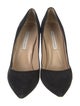 Diane von Furstenberg Suede Pumps