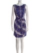 Diane von Furstenberg Silk Mini Dress