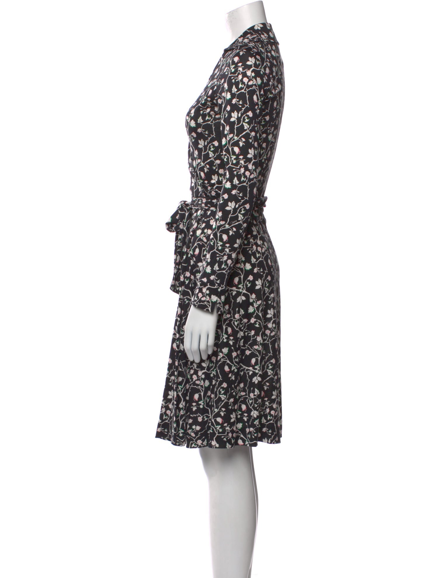 Diane von Furstenberg Floral Print Knee-Length Dress
