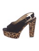 Diane von Furstenberg Ponyhair Animal Print Slingback Pumps