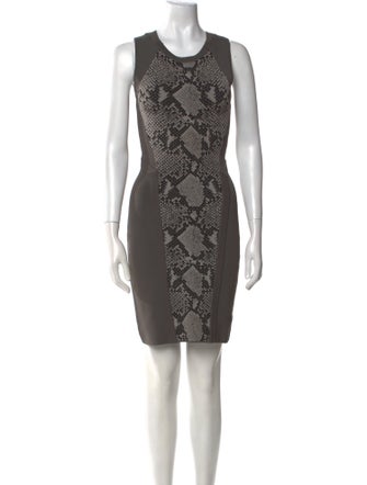 Diane von Furstenberg Printed Mini Dress