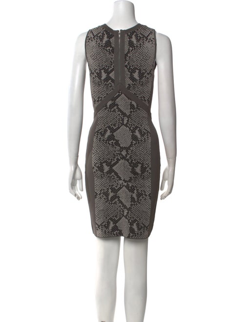 Diane von Furstenberg Printed Mini Dress