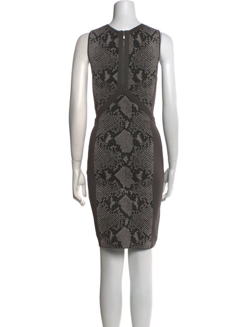 Diane von Furstenberg Animal Print Mini Dress