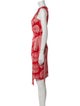Diane von Furstenberg Printed Knee-Length Dress